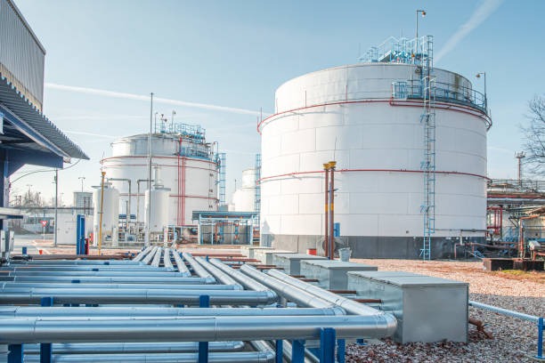 WhatsApp Image 2025-11-25 at 19.05.11_b70ea558