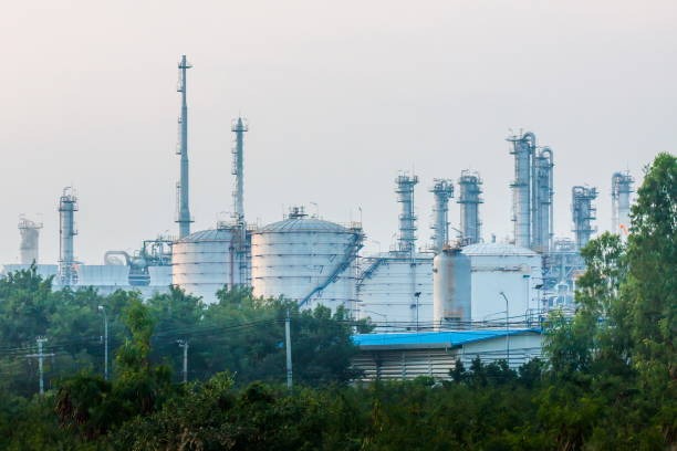 WhatsApp Image 2025-11-25 at 19.06.04_85956256