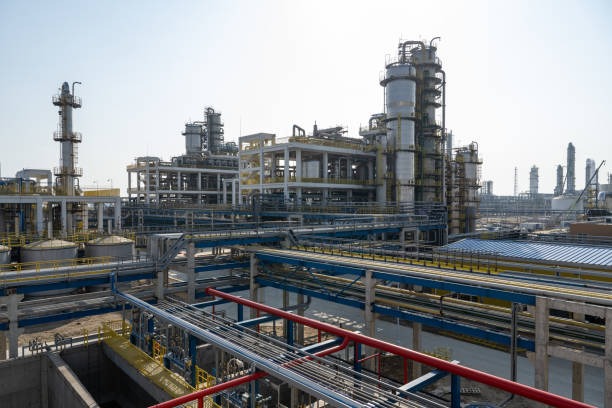 WhatsApp Image 2025-11-25 at 19.08.21_89032395