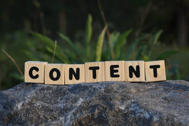 WhatsApp Image 2025-11-26 at 23.45.27_e44670bd