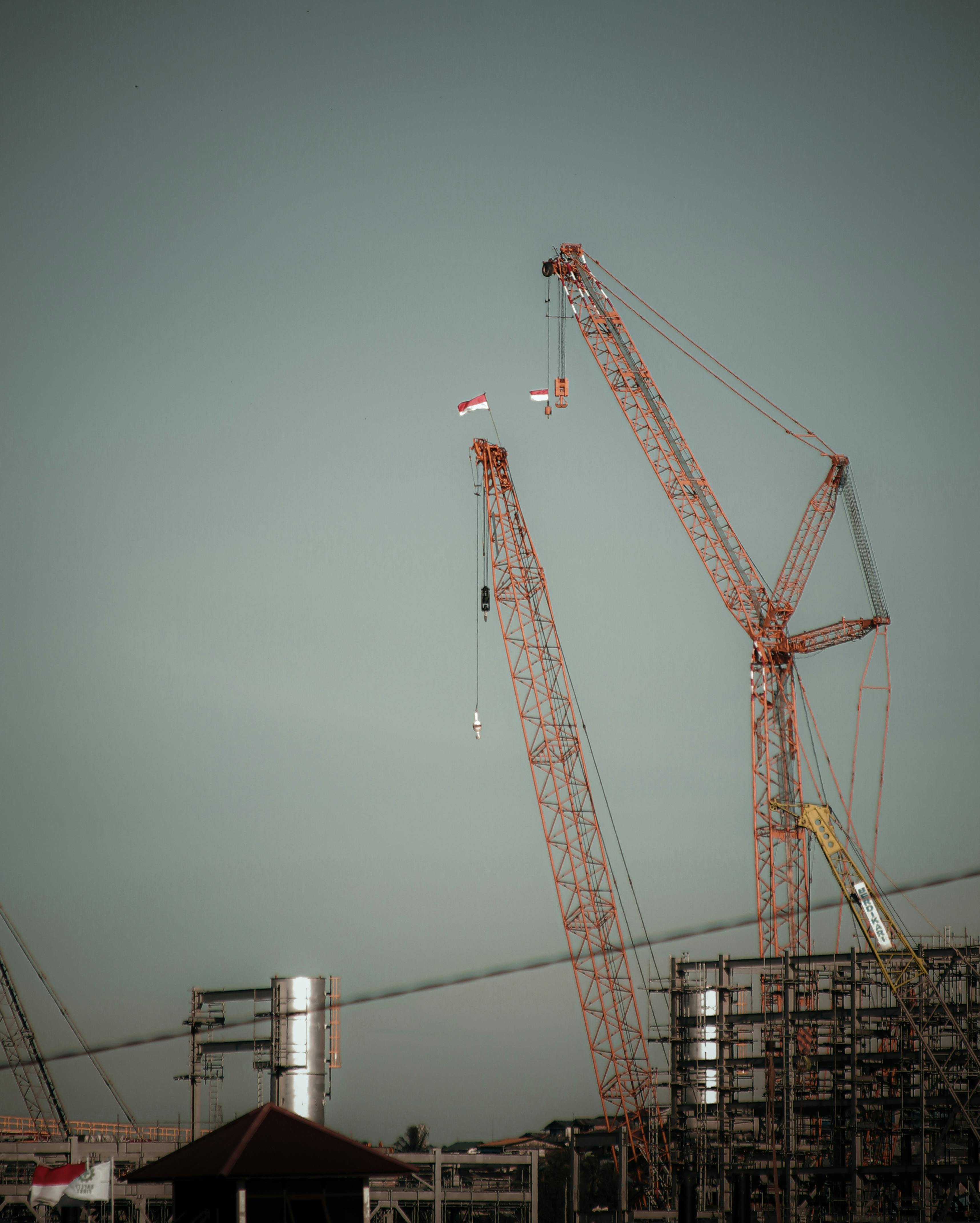 pexels-andiravsanjani-9252116